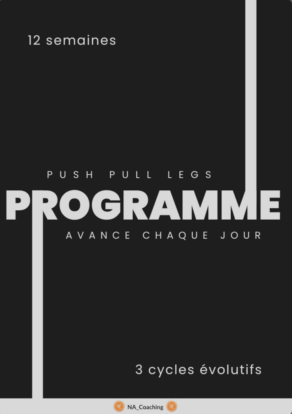 Programme Musculation PPL